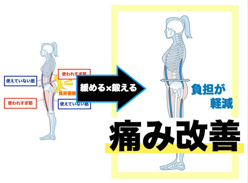 MSMメソッドのメカニズム図